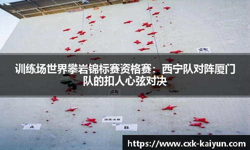 开云官方网站